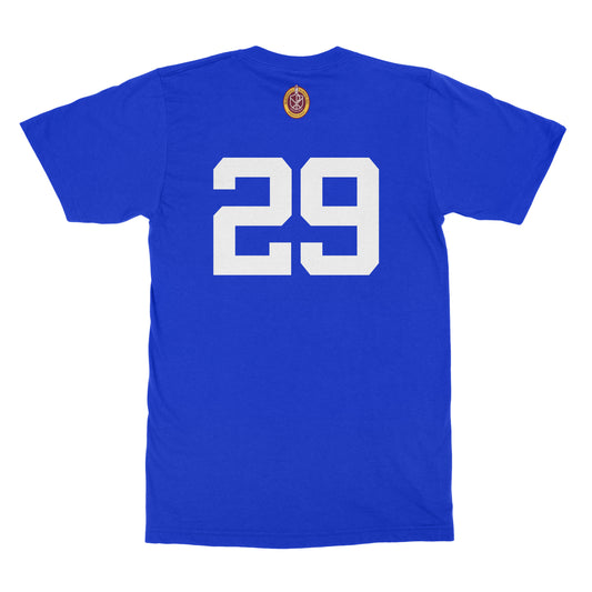 2029 Class Shirt (Cotton or Dri Fit)
